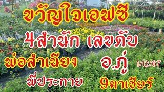 เลขดับ 4สำนัก เอาอยู่ พ่อสำเนียง อ.ภู่ พี่ประกาย 9มาเชียร์1/12/67