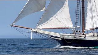 Why Sail Grace Bailey? Julian talks about his first time.