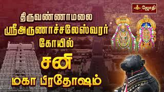 திருவண்ணாமலை ஸ்ரீஅருணாச்சலேஸ்வரர் கோயில் | சனி மகா பிரதோஷம் | Maha Sani Pradosham | Jothitv