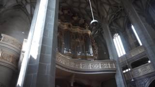 Germany - Halle - Marktkirche - Organ Practice