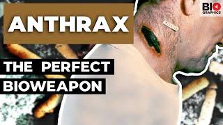 Anthrax: Nature’s Perfect Bioweapon