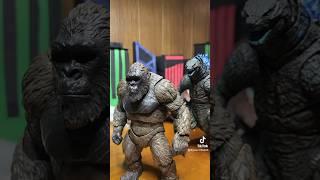 Kong vs evil Kong part two finishing what we started￼ #godzillaxkongthenewempire #godzilla #kong