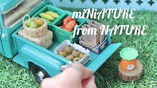 V19 FREE DIY Dollhouse decor: MINIATURE from Nature items around the house | ASMR craft for Fall