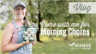 Summer Morning Chores (VLOG)