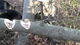 Busse Search and Rescue 8 (SAR 8) (Thinner Trunk) (Close-up) (HD)