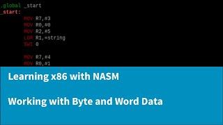 Learning x86 with NASM - Working with Byte and Word Data