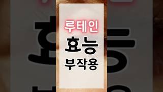 루테인 효능과 과복용시 주의사항 알고 드세요~!!