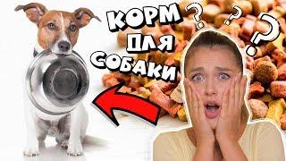 КАК ВЫБРАТЬ СУХОЙ КОРМ ДЛЯ СОБАКИ? | ВЫБИРАЕМ КОРМ СОБАКЕ