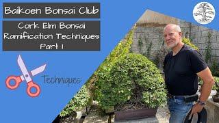 Cork Elm Bonsai Ramification Techniques - Michael Roberts - Technique - Baikoen Bonsai Club