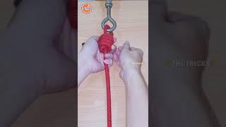 How to tie Knots like a Pro, DIY Rope Knot Tutorial #diy #viral #shorts ep2714