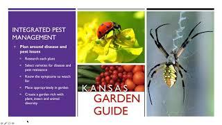 Vegetable Pest and Disease Management