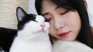 铲屎官突然出差回家，开门的瞬间人和猫都哭了，场面非常感人！｜花花与三猫 Cat Live