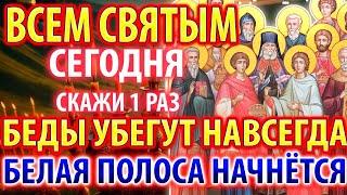 22 июня ВСЕМ СВЯТЫМ СКАЖИ! БЕДЫ ПОКИНУТ ВАШ ДОМ НАВСЕГДА Акафист всем Русским Святым Православие