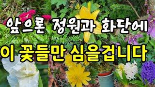 많은 꽃을 키워본 후,매년 정원과 화단에 심고 싶은 꽃40종 선정