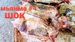 МЬЯНМА (БИРМА) #4. СВЕЖАЯ КРЫСЯТИНА. НА БАЙКЕ ПО ДЕРЕВНЯМ. БЫТ МЕСТНЫХ.