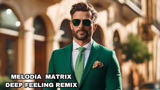 RILTIM, OMER BALIK, Adik, Davit Barqaia, Enza, Hamidshax, Mzade, Roudeep Deep Feelings Mix 2024