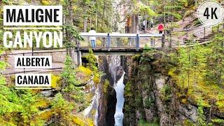 Amazing Maligne Canyon in Jasper National Park Alberta, Canada | 4K | Deepest Canyon in Rockies