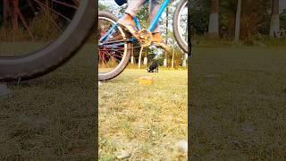 hide and seak .....#mtb #shorts