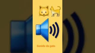 sonido de gato