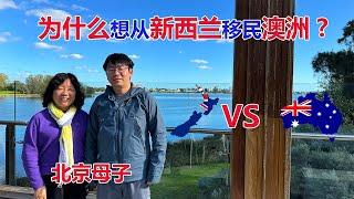 北京母子为什么想从新西兰移民澳洲？