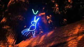 How to Paint with Light (www.techworm.org)