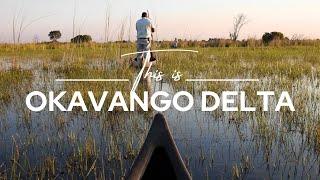 Okavango Delta, Botswana | Safari365