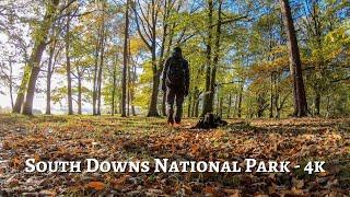 Walking the South Downs National Park - 4K