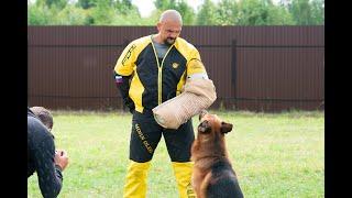 German Shepherd Dog Show / 15.08.2020 / Moscow