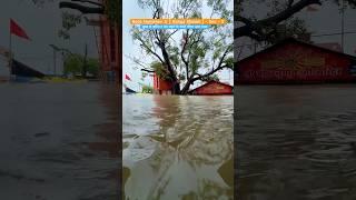 Bade Hanuman Ji Ganga Shayan - 5th Day | #badehanumanji #gangaflood #prayagraj #ghumakkadprayagi