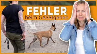 Fehler beim Gassi gehen mit Hund I Finde die Fehler!