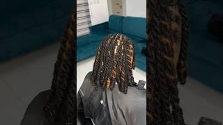 Starter locs with natural loc extensionsBeautiful styleExtensions and install  @locpalace_1.