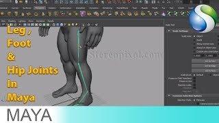 Rigging In Maya Chapter 04 - Leg , Foot & Hip Joints