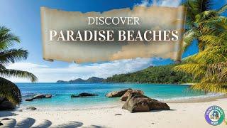 5 Breathtaking Beaches You Must Visit | Sandy Paradise Guide