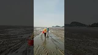 #바지락케기 #포토존 #여행 #여행그리기 #travel #국내여행 #풍경그림 #토토 #해외여행 #섬 #바다 #바지락