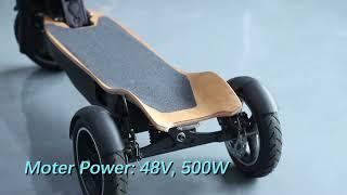 Freego ES-10X 3-wheel High Level Unique Electric Tricycle