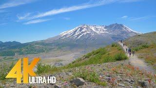 4K Nature Relax Video - Harry's Ridge Trail Mount St. Helens, Washington, USA