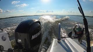 Mercury 60HP EFI 4 stroke - Full throttle