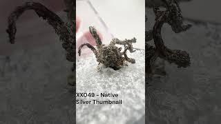 XX049 - Native Silver Thumbnail