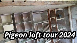 Pigeon loft tour | breeding loft | Youngbirds 2024 |