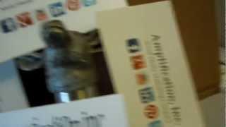 Amplification Transition #1