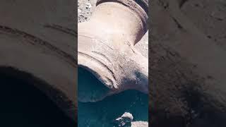 ОТРАРСКАЯ БИБЛИОТЕКА И ЕЕ ТАЙНЫ#альфараби#zagadkiistorii #отрар#reflectionsonhistory