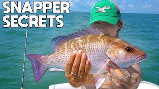 How To Catch Mangrove Snapper And Find New Spots!