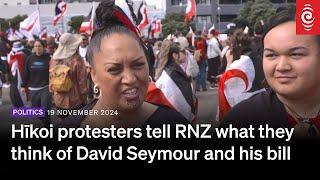 Hīkoi protesters tell RNZ what they think of David Seymour and his bill | RNZ