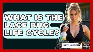 What Is The Lace Bug Life Cycle? - Insects and Invaders