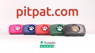 PitPat Dog GPS Tracker 2023