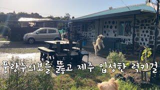 SUB 단순로그280 풍랑 주의보를 뚫고 세 식구 제주 입성한 럭키비키 vlog