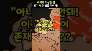 세계의 믿기힘든 이상한 법이야기