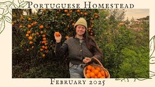 Homestead Diaries February 2025 | What We Were Sowing, Growing, & Eating On Our Homestead.