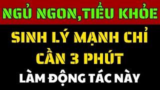 Ngủ ngon, tiểu khỏe, sinh lý mạnh – chỉ nhờ 1 động tác 3 phút mỗi tối