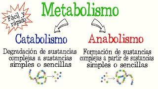 ¿Qué es el Metabolismo? Catabolismo y Anabolismo diferencias [Fácil y Rápido] | BIOLOGÍA | QUÍMICA